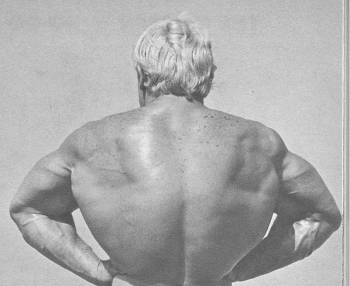 Dave Draper, lat spread